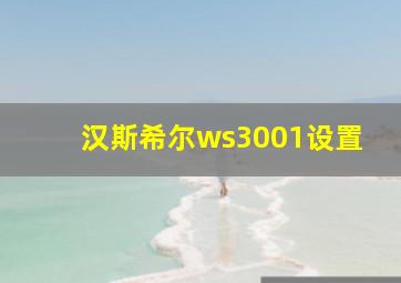 汉斯希尔ws3001设置