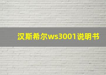 汉斯希尔ws3001说明书