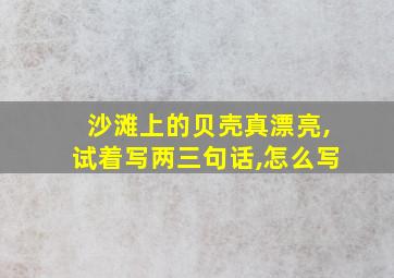 沙滩上的贝壳真漂亮,试着写两三句话,怎么写