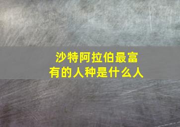 沙特阿拉伯最富有的人种是什么人