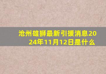 沧州雄狮最新引援消息2024年11月12日是什么