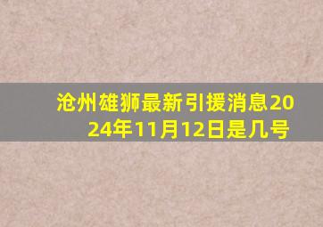 沧州雄狮最新引援消息2024年11月12日是几号