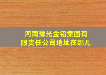 河南豫光金铅集团有限责任公司地址在哪儿