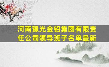 河南豫光金铅集团有限责任公司领导班子名单最新