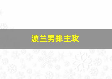 波兰男排主攻