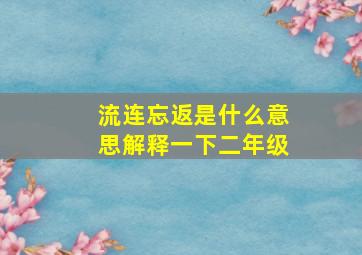 流连忘返是什么意思解释一下二年级