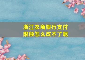 浙江农商银行支付限额怎么改不了呢