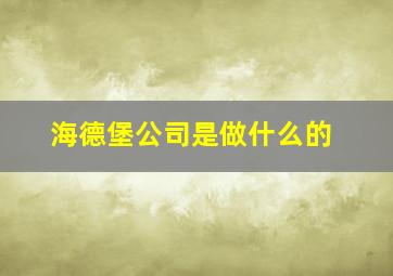 海德堡公司是做什么的