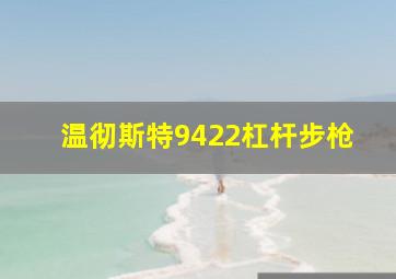 温彻斯特9422杠杆步枪