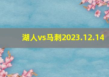 湖人vs马刺2023.12.14