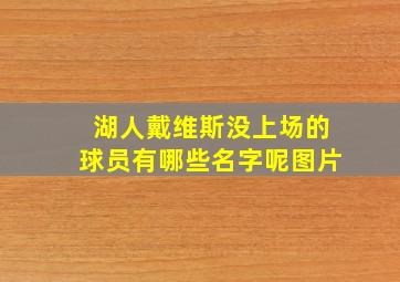 湖人戴维斯没上场的球员有哪些名字呢图片