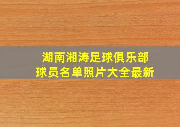 湖南湘涛足球俱乐部球员名单照片大全最新