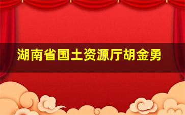 湖南省国土资源厅胡金勇