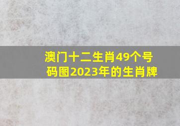 澳门十二生肖49个号码图2023年的生肖牌