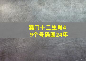 澳门十二生肖49个号码图24年