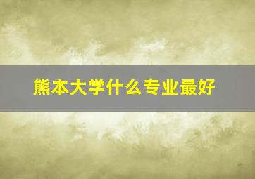 熊本大学什么专业最好