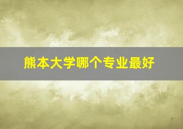 熊本大学哪个专业最好