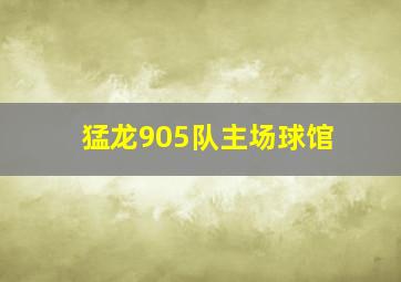 猛龙905队主场球馆