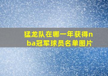 猛龙队在哪一年获得nba冠军球员名单图片