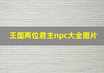 王国两位君主npc大全图片