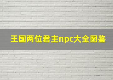 王国两位君主npc大全图鉴