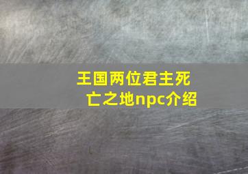 王国两位君主死亡之地npc介绍