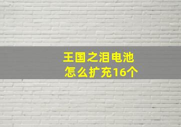 王国之泪电池怎么扩充16个