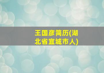 王国彦简历(湖北省宜城市人)