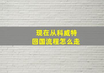 现在从科威特回国流程怎么走