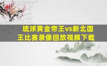 琉球黄金帝王vs新北国王比赛录像回放视频下载