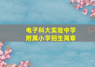 电子科大实验中学附属小学招生简章