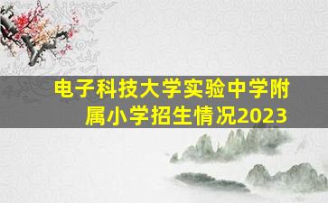 电子科技大学实验中学附属小学招生情况2023