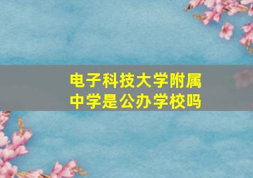 电子科技大学附属中学是公办学校吗