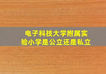 电子科技大学附属实验小学是公立还是私立