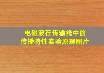 电磁波在传输线中的传播特性实验原理图片