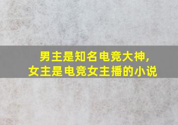 男主是知名电竞大神,女主是电竞女主播的小说