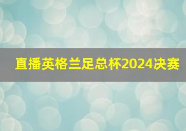 直播英格兰足总杯2024决赛