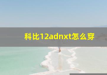 科比12adnxt怎么穿