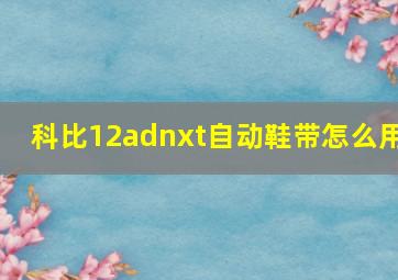 科比12adnxt自动鞋带怎么用