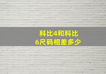 科比4和科比6尺码相差多少