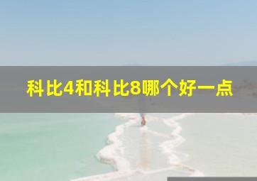 科比4和科比8哪个好一点