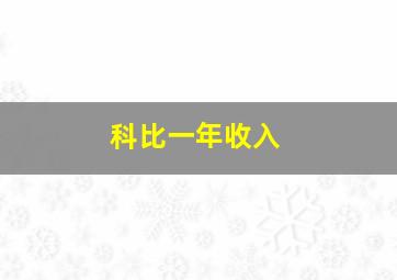 科比一年收入