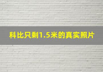 科比只剩1.5米的真实照片