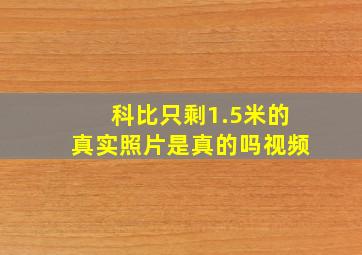 科比只剩1.5米的真实照片是真的吗视频