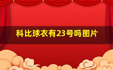 科比球衣有23号吗图片