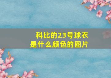 科比的23号球衣是什么颜色的图片