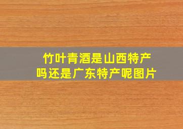 竹叶青酒是山西特产吗还是广东特产呢图片