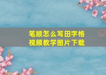 笔顺怎么写田字格视频教学图片下载