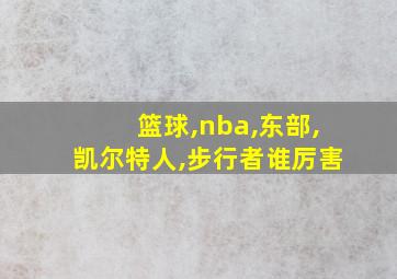 篮球,nba,东部,凯尔特人,步行者谁厉害