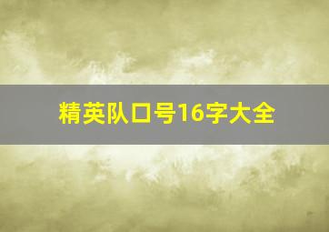 精英队口号16字大全